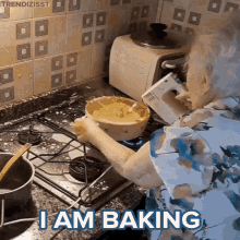 Baking Grandma GIF