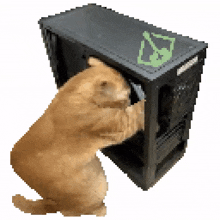 a pixel art of a cat playing with a computer