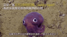 海底紫色大眼章魚哥 Is It Octopus Or Squid Or Both? GIF - 章魚oct Octopus GIFs