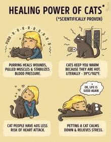 a cartoon explaining the healing power of cats .