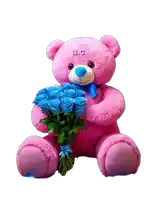 a pink teddy bear holding a bouquet of blue roses with abc written on its face