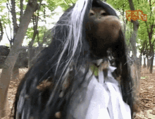 Ape Ape The Ring GIF - Ape Ape The Ring Monkey The Ring GIFs