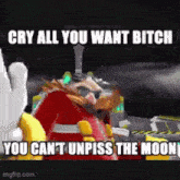 a sonic the hedgehog meme that says cry all you want bitch you can 't unpiss the moon