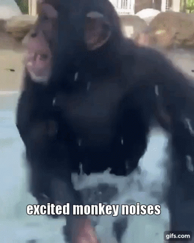 Monkey Excited GIF - Monkey Excited Excited Monkey GIFs
