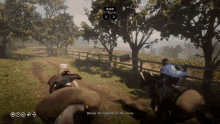 red dead online funny horse jump flying horses duo hilarious synchronization