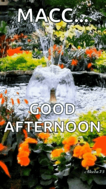 Good Afternoon Fountain GIF - Good Afternoon Fountain Flowers GIFs