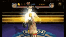 don flamenco td fight video game