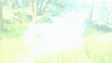 a blue glowing object in the grass in a forest