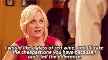 Leslie Knope Cheapest Wine GIF - Leslie Knope Cheapest Wine Direct GIFs