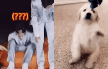 Jungwoo Jungwoo Puppy GIF