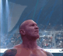 a man without a shirt is standing in front of a crowd in a stadium .