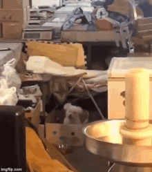 Puppy Bouncing GIF - Puppy Bouncing GIFs