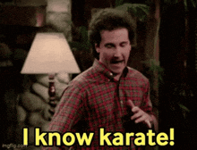 a man in a plaid shirt is standing in front of a lamp and says i know karate .