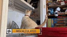 Miscalculated Reaching GIF - Miscalculated Reaching Climbing GIFs