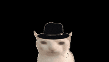 Oppie Oppenheimer GIF - Oppie Oppenheimer Oppenheimer Cat GIFs