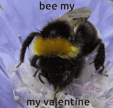 Bee Valentine GIF - Bee Valentine Inkspot GIFs