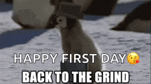 Grind Time Grind GIF - Grind Time Grind Penguin GIFs