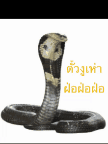 Snake Snake1 GIF - Snake Snake1 GIFs