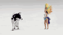 cow brazil