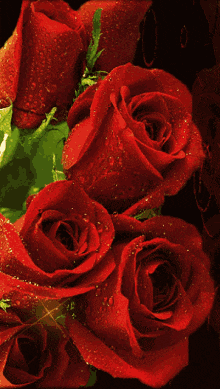 цветы букет GIF - цветы букет роз GIFs