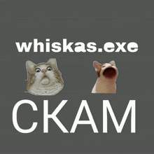 Whiskas GIF - Whiskas GIFs