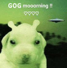 a picture of a puppy with a ufo in the background and the words gog mooorning