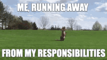 Jurassic Park Responsibilities GIF - Jurassic Park Responsibilities Running Away GIFs