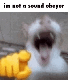 a picture of a cat with its mouth wide open and the words im not a sound obeyer