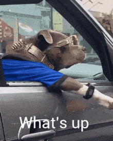 Whats Up Dog GIF - Whats Up Dog GIFs