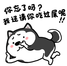 Husky And Shiba 二哈萌柴微信表情 Sticker - Husky And Shiba 二哈萌柴微信表情 Nose Picking Stickers