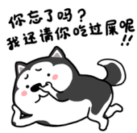 Husky And Shiba 二哈萌柴微信表情 Sticker - Husky And Shiba 二哈萌柴微信表情 Nose Picking Stickers