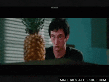 a man sitting in front of a pineapple with the words make gifs at gifsoup.com on the bottom