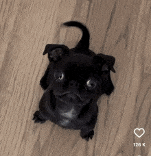 Happy Dog Cute Dog GIF - Happy Dog Cute Dog GIFs
