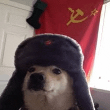 Communist Doge GIF
