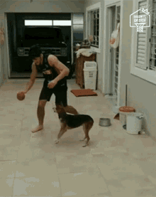 Basquete Contra O Cachorro Basketball Against The Dog GIF