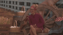a woman is sitting on a wooden bench next to a chicken and a pig .