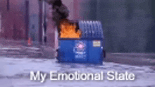 a dumpster is on fire with the words my emotional state written above it