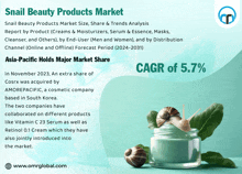 Snail Beauty Products Market GIF