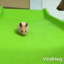 Sliding Down Viralhog GIF - Sliding Down Viralhog Slipping Downward GIFs