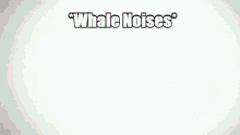 Whale Noises GIF