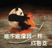 成熟点，长大，熊猫，玩具 GIF - Panda Grow Up Be Mature GIFs