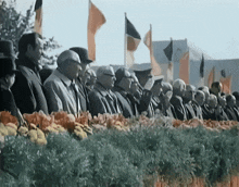 a group of people standing in front of flags and flowers