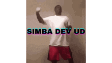 Simba Dev Fortnite GIF - Simba Dev Simba Dev GIFs