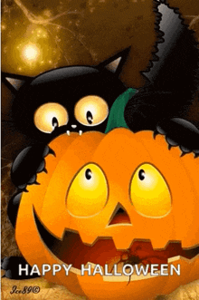 black cat halloween bite pumpkin happy halloween