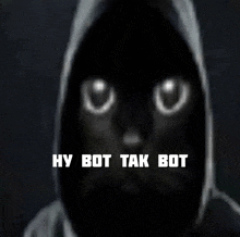 a black cat with glowing eyes and the words " hy bot tak bot " above it