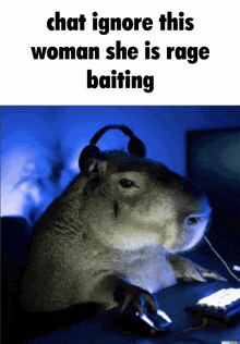 a picture of a capybara wearing headphones and a mouse with the caption chat ignore this woman she is rage baiting