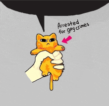 a cartoon drawing of a person holding a cat with the words arrested for gay crimes above it