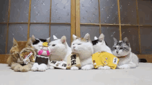 お正月 あけましておめでとう ネコ ねこ猫 GIF - Cat Kitten GIFs