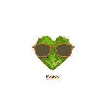 polaroid cactus polaroid eyewear sunglasses sustainable collection