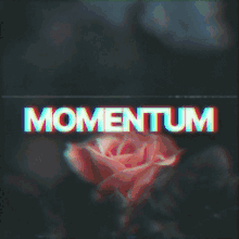 Momentum GIF - Momentum GIFs